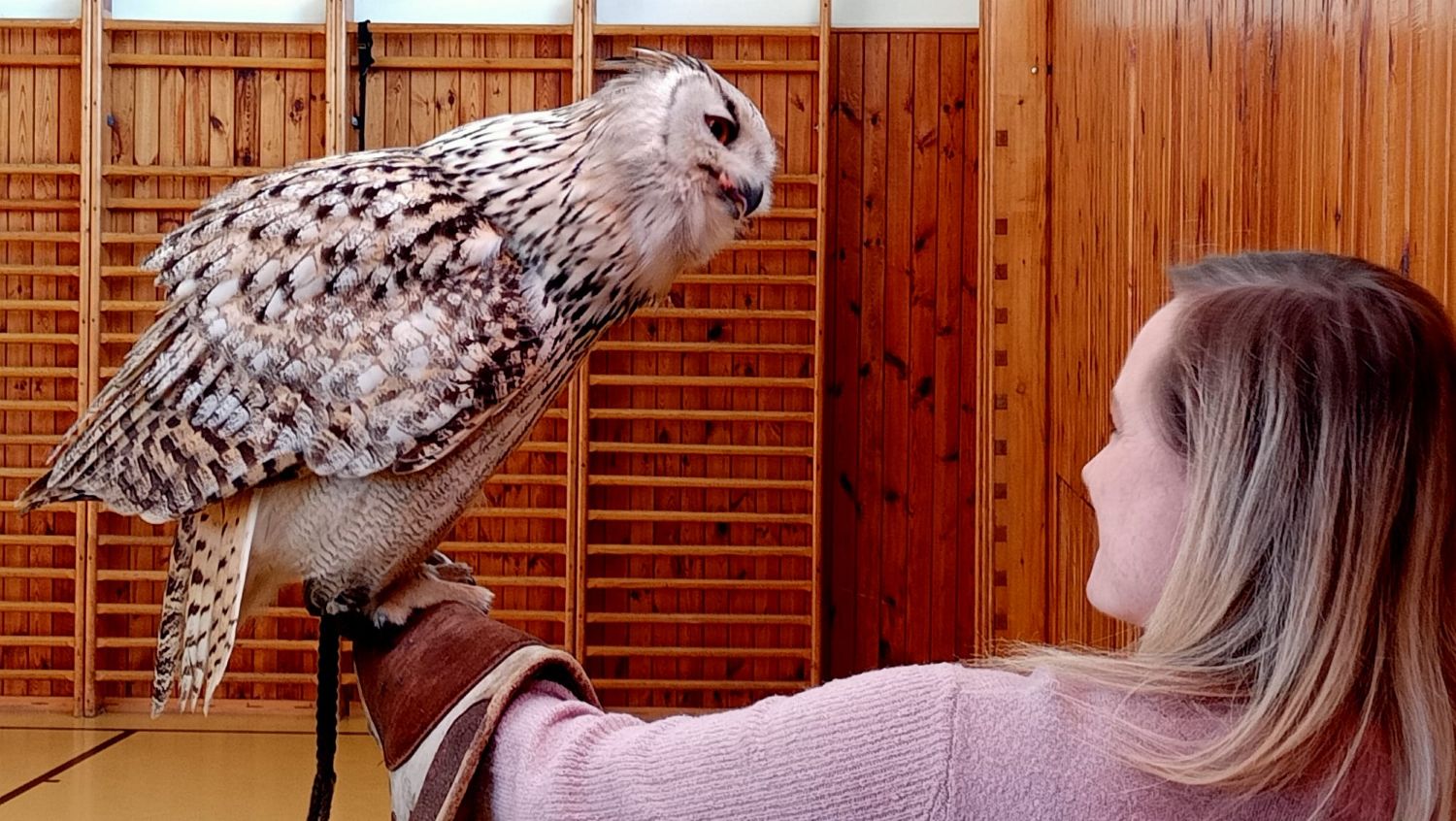 Ukázka dravců a sov ve škole